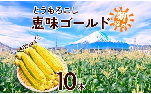 
            とうもろこし 恵味 ゴールド 400g以上×10本 計4kg以上 高糖度 トウモロコシ スイートコーン 玉蜀黍 イエローコーン 黄 夏野菜 甘い ジューシー 野菜 おやつ 旬 産地直送 送料無料 湖南野菜出荷組合 山梨県 富士河口湖町
          