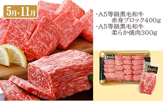 定期便(6回配送)A5等級鹿児島県産黒毛和牛三昧II-0016【1166763】_ ふるさと納税 定期便 牛肉 豚肉 霜降り 焼肉 黒毛和牛 サーロイン ステーキ 切り落とし ホルモン しゃぶしゃぶ 