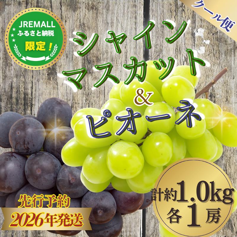 【JRE限定】【2026年 先行予約】山梨県産シャインマスカット&ピオーネ　計 約1.0kg（各1房）