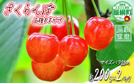 【 冷蔵便 】 さくらんぼ サイズ バラ詰め 200g × 2パック （ 品種おまかせ ） 配送先は本州限定 2025年6月中旬〜2025年6月下旬まで順次発送予定 サイズバラバラ チェリー サクランボ 長野県 飯綱町 [1952]