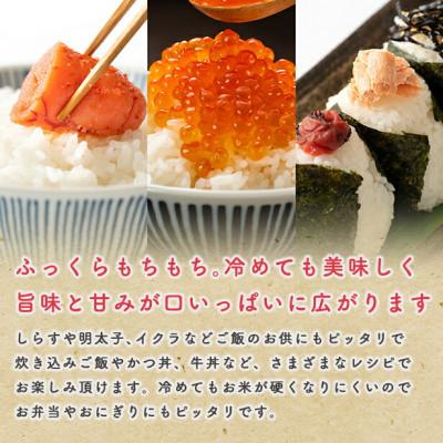 ふるさと納税 八郎潟町 【毎月定期便】あきたこまち 貯蔵米 10kg(2.5kg×4袋)【精米・無洗米】秋田県産全2回 |  | 01
