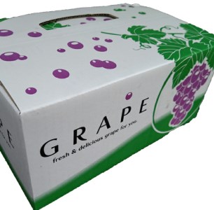 【予約受付】葡萄 ぶどう ブラックオリンピア 約1kg（2～3房）【2026年8月中に順次発送予定】【申し込みは7月下旬まで】