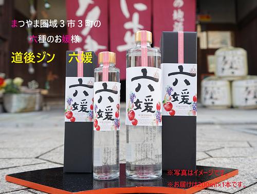 
道後ジン　六媛　200ml
