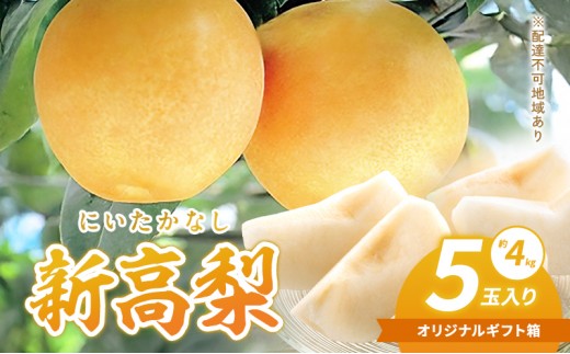 
                  梨 2025年 新高梨（にいたかなし）オリジナルギフト箱 5玉入り（約4kg）赤磐市赤坂産 なし フルーツ 果物 
                