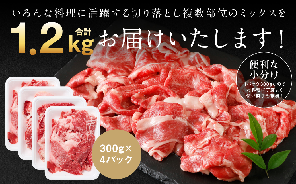 【訳あり】 くまもと黒毛和牛 切り落とし 1.2kg（300g×4） 黒毛和牛 牛肉 和牛 ブランド牛 ブランド和牛 訳あり牛肉 ブランド牛肉 牛肉切り落とし ブランド牛切り落とし 小分け 熊本県産 