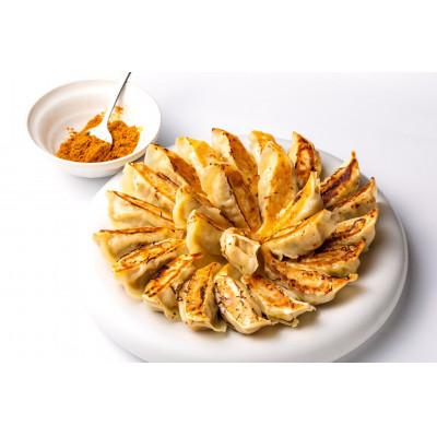 ふるさと納税 岸和田市 【瞬間冷凍:生餃子】お酒と合う?ピリ辛のスパイス餃子 100ヶ 合計2kg |  | 01