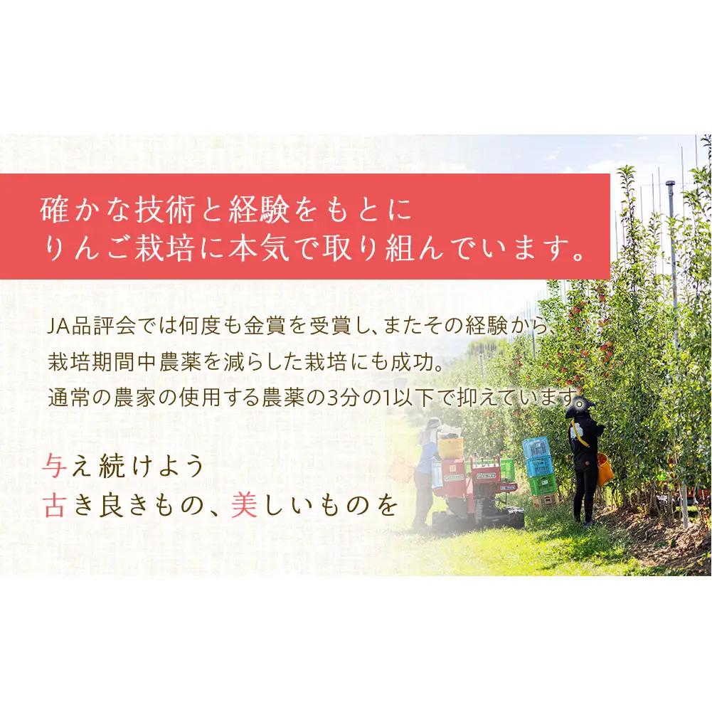 【2026年/令和8年発送分 】梨 長野 南水 約 3kg 信州の梨 フルーツ 果物 デザート おやつ なし ナシ なんすい ナンスイ 産地直送 長野県 長野県産 信州産 長野県箕輪町