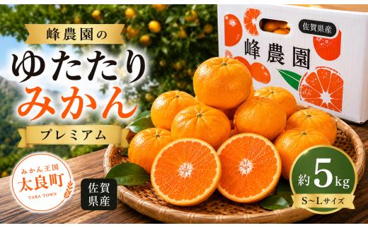 峰農園のゆたたりみかん 【 プレミアム 】 約5kg ミカン みかん 蜜柑 プレミアムみかん 柑橘 柑橘類 柑橘系 果物 くだもの フルーツ 果実 果肉 果汁 贈り物 プレゼント 国産 佐賀県産 【 2026年12月上旬～2027年1月下旬まで順次発送予定 】
