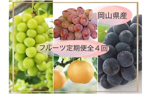 vz-1【令和8年発送・先行予約】フルーツ定期便全4回