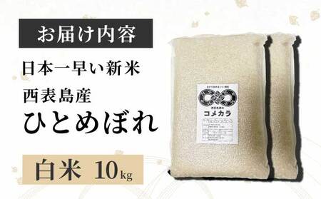 新米ひとめぼれ(白米)10kg