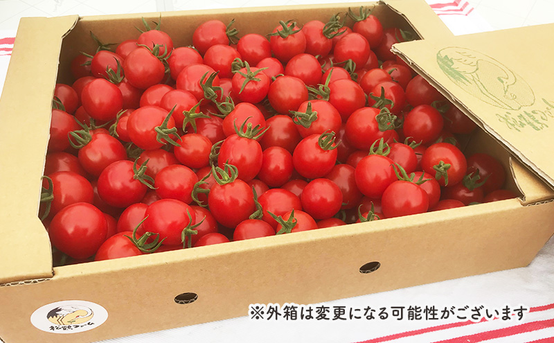 【2026年発送】ミニトマト ほれまる 3kg［松鶴ファーム］野