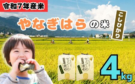 米 【4kg】 令和7年産 コシヒカリ 長野県産【やなぎはらの米】7-66