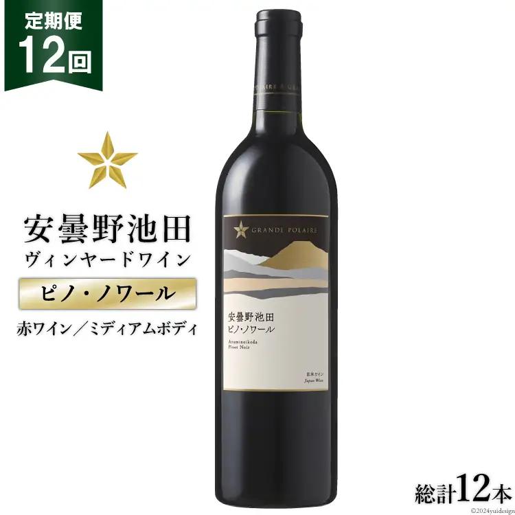 定期便 12回 赤ワイン サッポロ グランポレール 安曇野池田ヴィンヤード 「ピノ・ノワール」 750ml 総計 12本