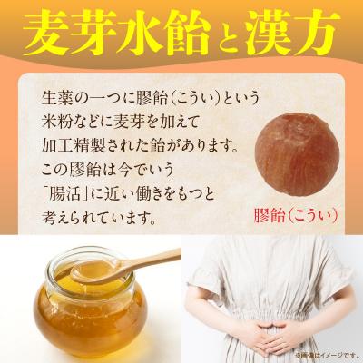 ふるさと納税 小牧市 和漢サボテンのど飴　2袋　[103S13] |  | 03