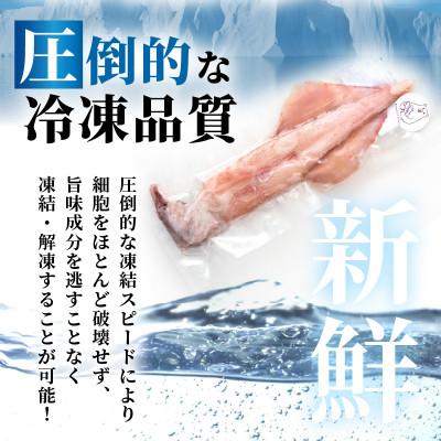 ふるさと納税 美浜町 【活きたイカをご提供している漁師が活〆!鮮度格別】急速冷凍したお刺身で食べるケンサキイカ約1kg |  | 02
