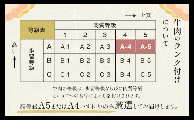 黒毛和牛 A4〜A5等級 霜降り 霜降り すき焼き しゃぶしゃぶ 極上 スライス A4 A5 300g すきやき肉 数量限定 牛肉 冷凍 くまもと黒毛和牛《1-5日以内に出荷予定(土日祝除く)》個別 