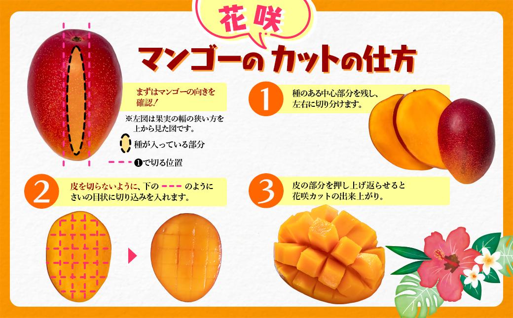 糖度13度以上！西都市産完熟マンゴー『スターズマンゴー』2L×3個 宮野原農園 【先行予約・2026年発送分】＜2-107＞みやざき完熟マンゴー 宮崎完熟マンゴー 果物 くだもの フルーツ ギフト 贈