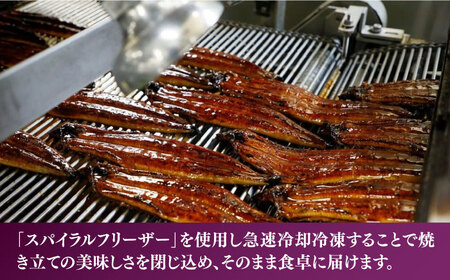 【全12回定期便】福岡県産 うなぎ 蒲焼 大2尾　合計 320 g（1尾あたり 160g以上）《豊前市》【福岡養鰻】 国産 うなぎ 大[VAD013] うなぎ 鰻 鰻の蒲焼 ギフト鰻 国産鰻 うなぎ 