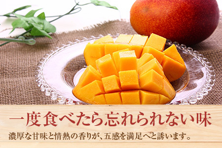 宮崎県産「訳あり」完熟 マンゴー 約2kg（4～8玉）先行予約 南国 フルーツ 果物【C400-26】