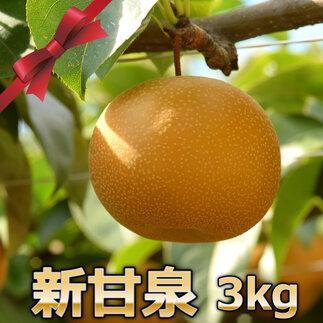 【ポイント交換専用】291.【先行予約】新甘泉　3kg前後（3～12玉前後）｜梨 なし 新甘泉 しんかんせん ◇※2025年8月下旬～9月下旬頃に順次発送予定 313726_AN064-P