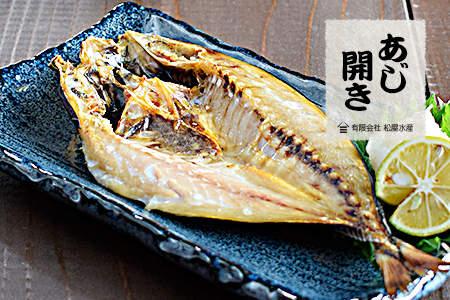 干物 詰め合わせ 6種 16点 松屋水産 干物【mtys0002】