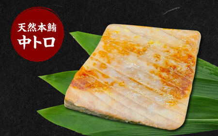 西京漬4種8切れセット(天然本鮪中トロ、銀ダラ、マンダイ、赤海老) 西京漬け 魚 鮪 まぐろ マグロ 銀だら 銀鱈 海老 えび エビ 取り寄せ ギフト 西京焼き 大阪府高槻市/本まぐろ直売所[AOCE