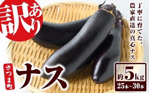 s709 《期間限定》＜訳あり＞ ナス 筑陽 (約5kg・25本～30本) 鹿児島 国産 九州産 茄子 なす なすび 夏野菜 産地直送 農家直送 野菜 ベジタブル 【さつま園芸組合】