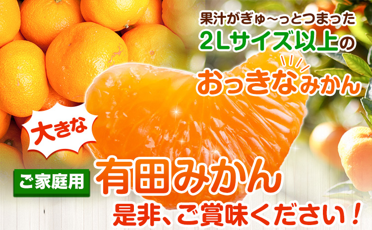 ＜先行予約＞家庭用　大きな有田みかん5kg+250g（傷み補償分）【わけあり・訳あり】【光センサー選果】 池田鹿蔵農園@日高町（池田農園株式会社）《11月中旬-1月下旬頃出荷》和歌山県 日高町