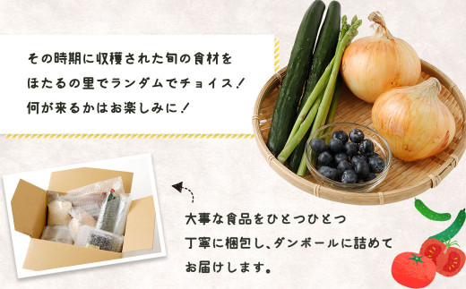 ｢むなかたの幸｣の詰め合わせ セット 計1kg (野菜・果物・米・干物・加工品) 宗像から全国の皆様へ【JAほたるの里】_HA0265