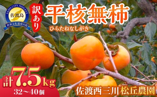 【先行予約 訳あり】佐渡産 平核無柿（ひらたねなしがき）7.5kg 32〜40玉 種なし 松丘農園 | 新潟県産柿 新潟産柿 佐渡産柿 佐渡島産かき たねなし柿 種無し柿 平核無 ひらたねなし おけさ柿 柿 かき カキ わけあり 家庭用 にいがた さど 新潟県 佐渡市