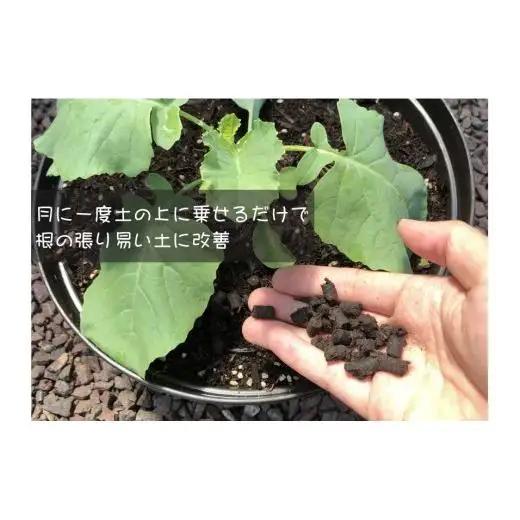 【 農業セット 】 農業セット家庭菜園