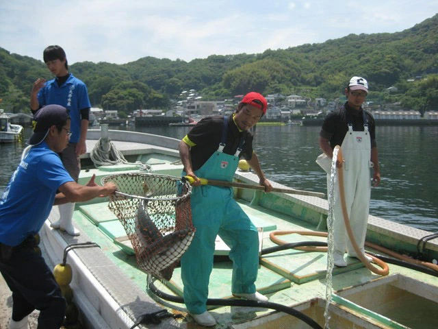 瀬戸内海上釣堀「大漁丸」ご招待券 (1名利用)｜瀬戸内 会場 釣り 釣り放題 安芸灘 海上釣堀 広島レモンサーモン ハマチ ブリ タイ 黒ソイ カンパチ シマアジ ヒラマサ [1753]