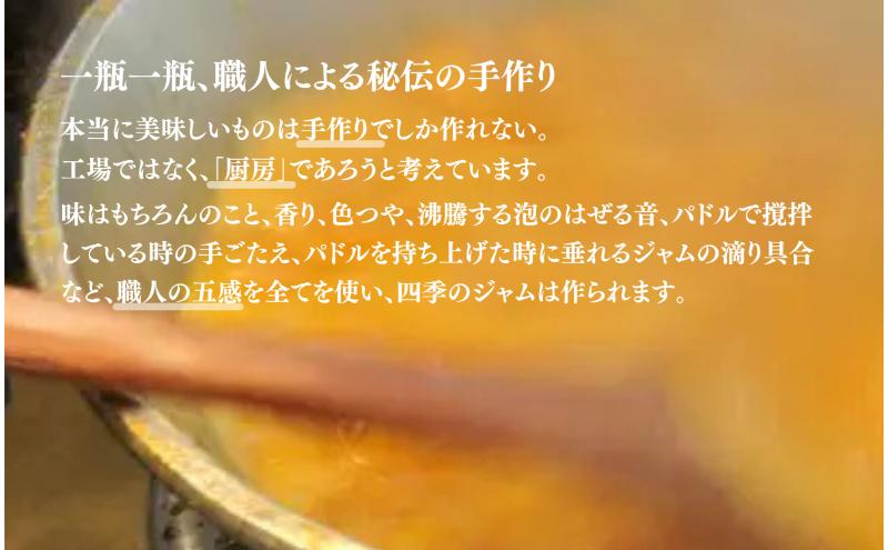 なんこう梅（M）4個セット ジャム 手作り セット 梅 朝食 軽食 上田市