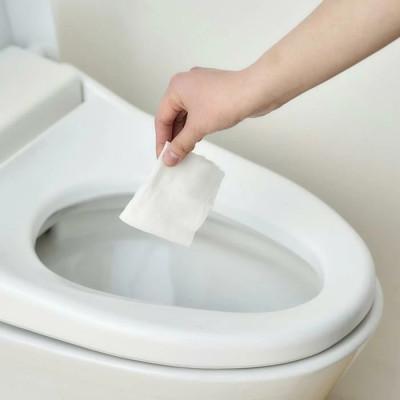 ふるさと納税  角田市 【8枚入×48個】ミニ流せるウェットシート minimPOF-6PN- アイリスオーヤマ |  | 03