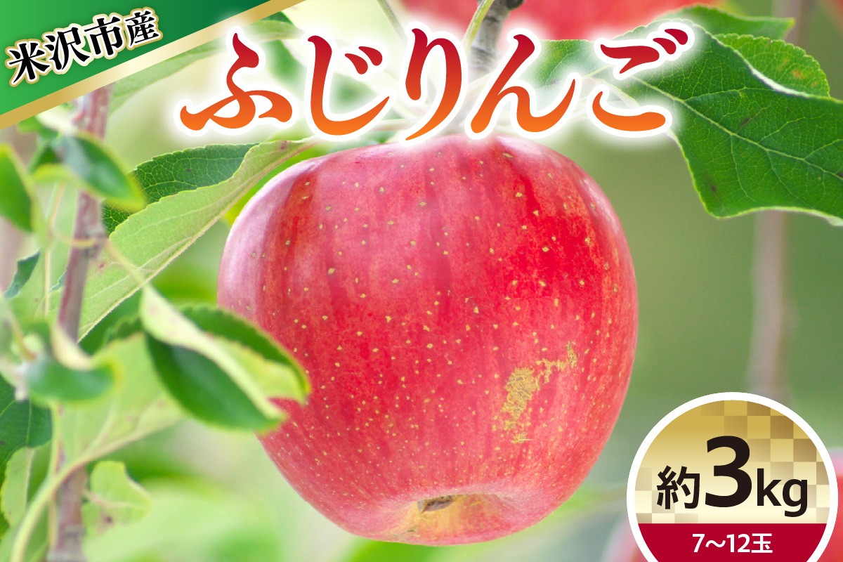 
                  【 令和8年産 】 ふじ （ りんご ） 約3kg 7～12玉 〔 12月上旬～お届け 〕 2026年産 りんご リンゴ 林檎 産地直送 山形県 米沢市
                