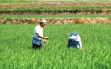 中能登町産　有機栽培米 平右ェ門（へいよもん）白米２㎏