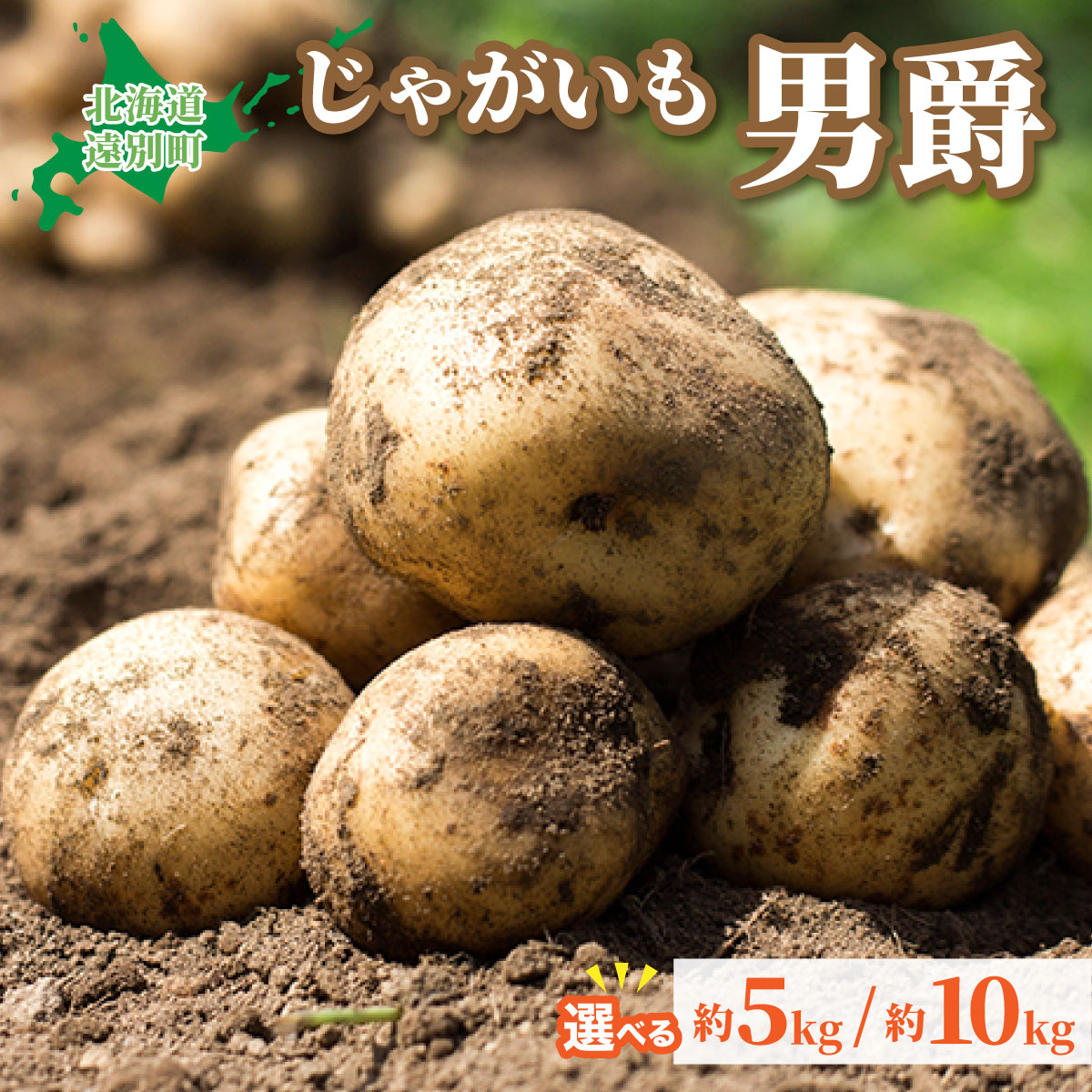 【ふるさと納税】＜選べる容量＞2025年産 遠別産じゃがいも（男爵5〜10kg）　2025年9月上旬より出荷ジャガイモ じゃが芋 男爵芋 芋 野菜 やさい ほくほく ホクホク じゃがバター 肉じゃが ポテトフライ 北海道 遠別町