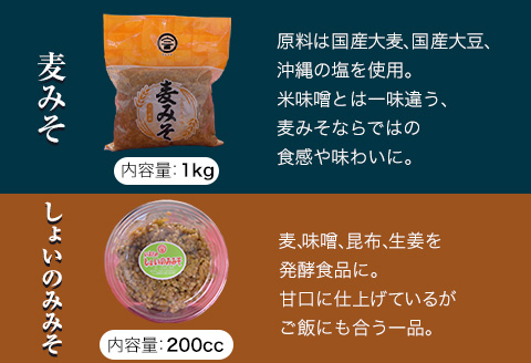 「今田長八商店」氷川町産 調味料セットA 《30日以内に出荷予定(土日祝除く)》 麦みそ こいくち醤油 しょいのみみそ 食べる甘酒 田舎みそ---sh_cimada_30d_23_10000_a---