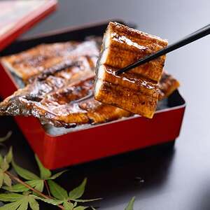 絶品!!国産うなぎ蒲焼き　特大サイズ(約200g)【配送不可地域：離島】【1659583】