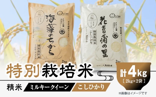 
            特別栽培米4kg(精米/ミルキークイーン・コシヒカリ 各2kg)【1290531】
          