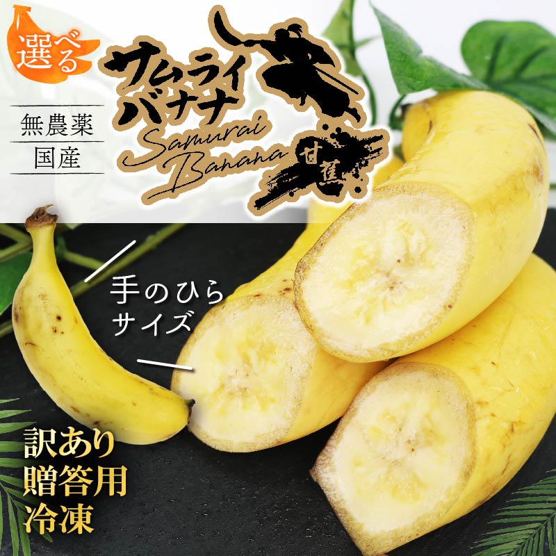高知県産 侍バナナ｜無農薬・国産・農家直送 手のひらサイズ 3本 贈答用 訳あり 冷凍バナナ フルーツ 果物 ギフト 冷凍フルーツ バナナ サムライ スムージー