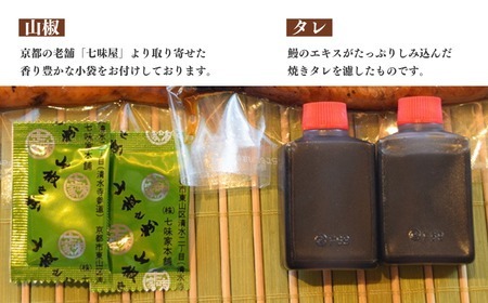 【毎月定期便3回】【安井家】国産鰻蒲焼　約120g×2パック