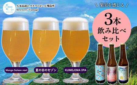 ビール 久米島の恵みをたっぷり使用「久米島産ビール 果実を感じる3本セット」 クラフトビール