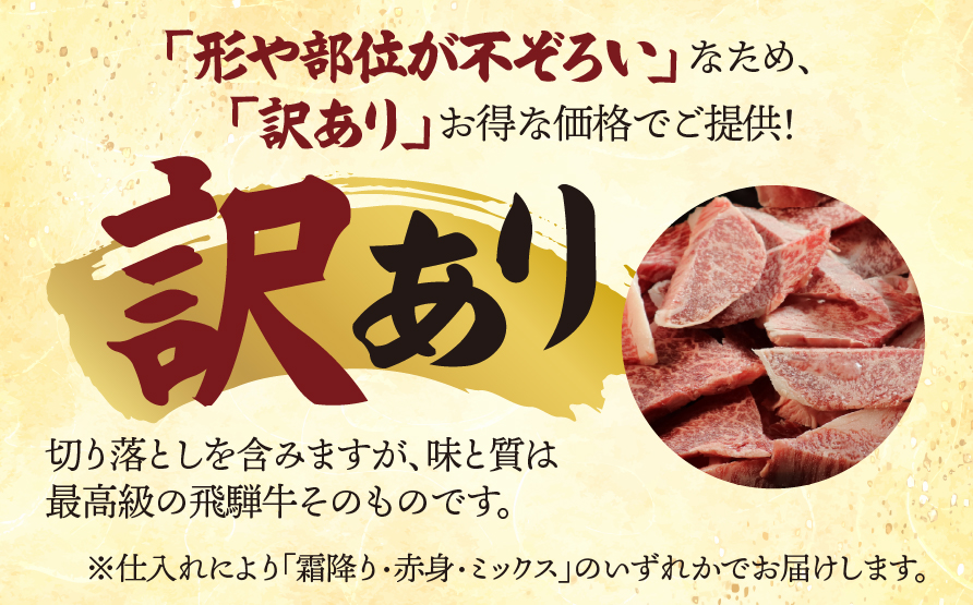 【訳あり】A5 飛騨牛 切り落とし ステーキ用 1kg｜岐阜県産 国産 黒毛和牛 ブランド牛 霜降り 不揃い 冷凍 贅沢 高級肉 おすすめ 人気 トキノ屋食品