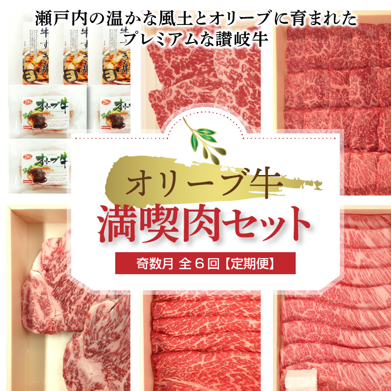 【ふるさと納税】オリーブ牛 満喫肉セット(奇数月　全6回)【定期便】肉 焼肉 牛肉 モモ肉 ハラミ オリーブ牛 焼き肉 セット バーベキュー BBQ はらみ 香川県 三豊市