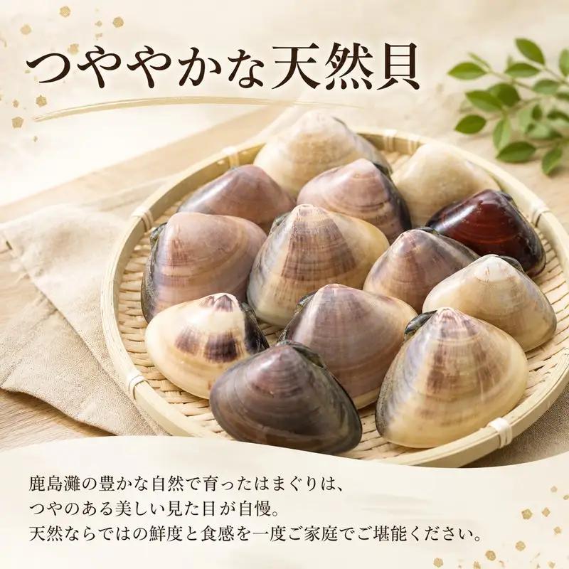 はまぐり 鹿島灘産 約1.5kg 砂抜き 蛤