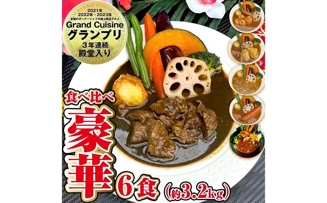 冷凍 スープカレー 豪華！ 食べ比べ 6食 セット 計約3.2kg / ビーフ エビ チキン キーマ ウインナー 薬膳 カレー レトルトカレー レトルト食品 詰め合わせ