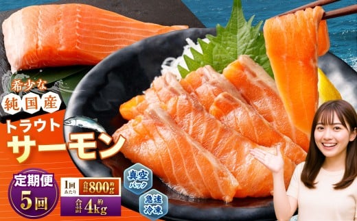 【5回定期便】 国産 トラウトサーモン 計約4kg （約200g×4パック）×5回 サーモン 新鮮 小分け 真空パック 急速凍結 国内養殖 冷凍