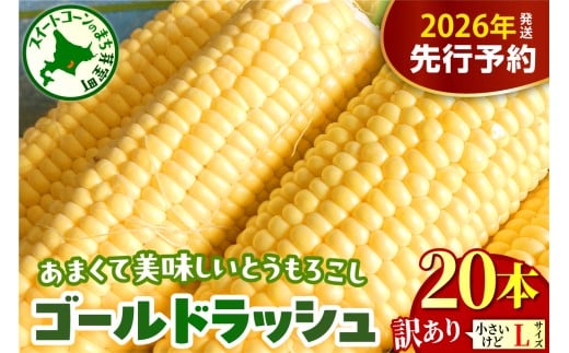 【先行受付】【2026年8月上旬～8月下旬頃配送】【訳あり】北海道十勝芽室町 とうもろこし ゴールドラッシュ Lサイズ 20本セット　me078-009c-26