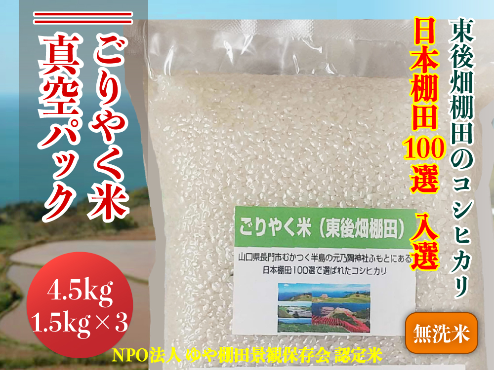 (1082)【令和6年度産先行予約】お米 米 こめ 無洗米 無洗米真空パック 白米 こしひかり コシヒカリ ごりやく米「東後畑棚田こしひかり」 無洗米 4.5㎏ (無洗米真空パック1.5㎏×3個) 小分け 真空 真空パック おにぎり 棚田 棚田米 長門市